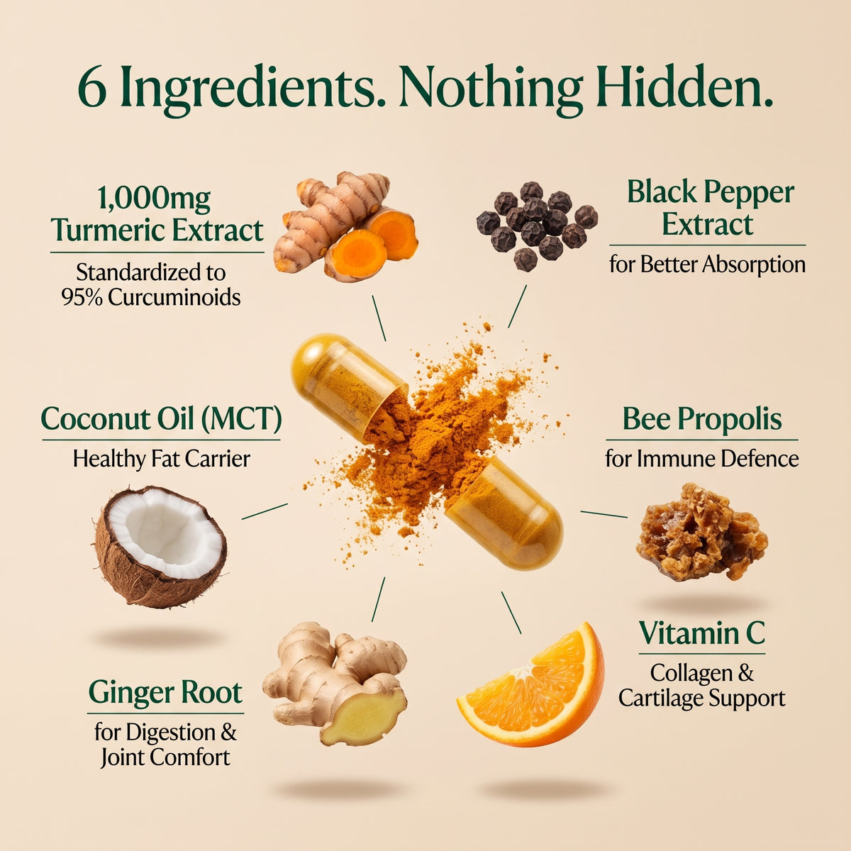 Turmeric Curcumin Capsules (1,000mg)